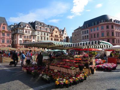 心の安らぎ旅行（2023年４年ぶりのドイツ♪Mainz マインツ 朝市 Wochenmarkt  Part167）