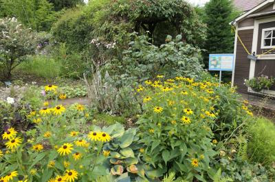 サマーバカンス軽井沢♪　Vol.3 ☆横川サービスエリア：夏の庭園♪