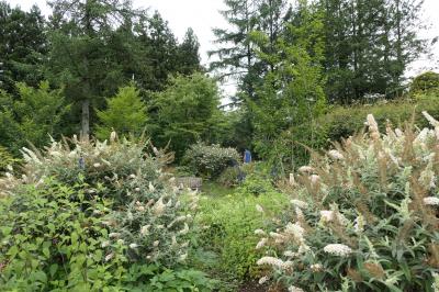 サマーバカンス軽井沢♪　Vol.5 ☆横川サービスエリア：夏の庭園♪