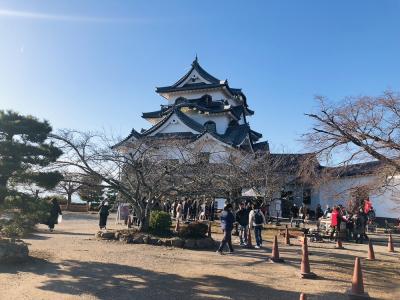 年始静岡から更に下る