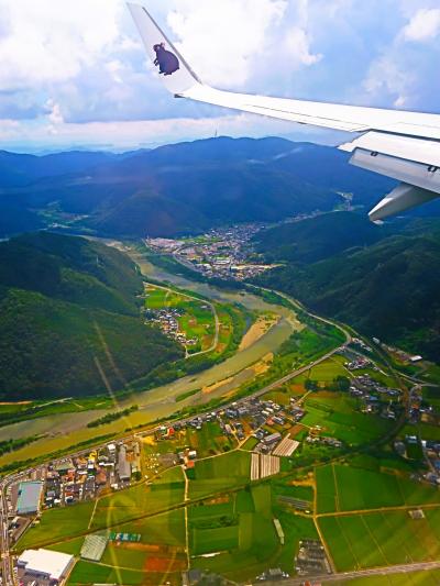 JAL233便ｃ　羽田10:30⇒岡山11:30　定刻到着　☆山林を見ながら降下