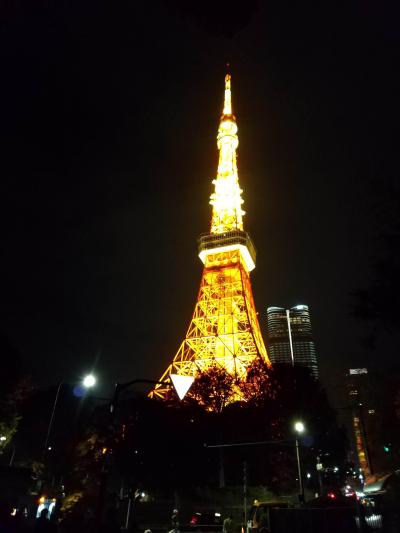 横浜港&東京湾夜景観賞クルーズーその後東京タワー遍ー②