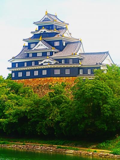 岡山-2　後楽園ｂ　旭川越え　岡山城　☆天守台・廊下門・表書院跡・月見櫓　