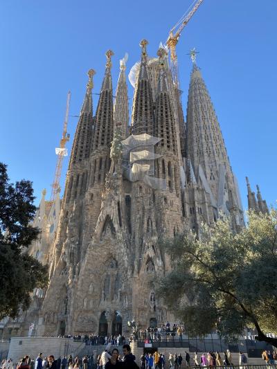 バルセロナでおいしいセルベッソ(ビール)を飲みたい旅1