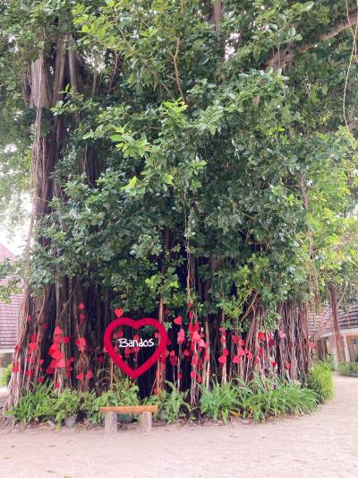 7度目のモルジブ…コロナの中の海外旅行モルジブ・・・びっくり、トラブル