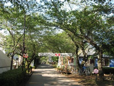 FIFA女子ワールドカップドイツ2011なでしこジャパン優勝おめでとう!!@時之栖