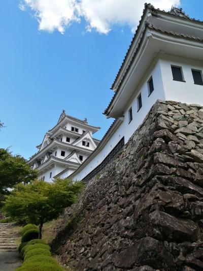 長野と岐阜を大満喫の６日間　その２　白川郷～郡上八幡～下呂温泉～高山～福地温泉