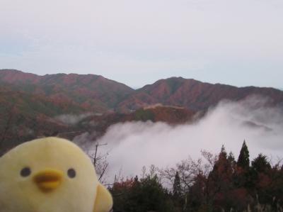 兵庫県 竹田城・明石城・姫路城を たびするトリ