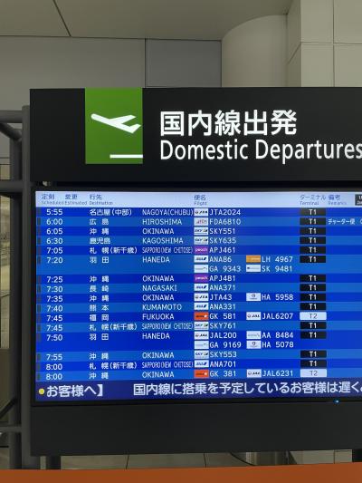 JAL　初日の出フライト