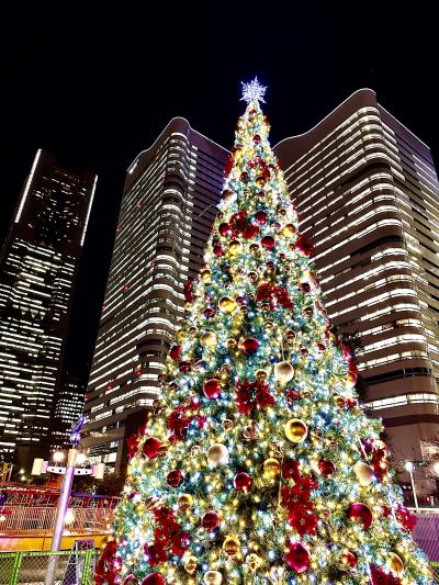 紅葉を見に山梨、群馬へ。(ちょっとだけ横浜ライトアップ)①