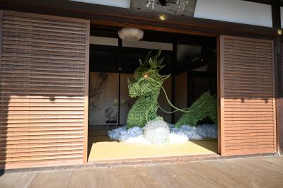 洗濯ばさみで作られた“龍”の巨大アート @達磨寺「方丈」 ♪大和地鶏と飛鳥鍋
