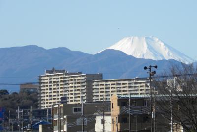 元旦、東中野村散策