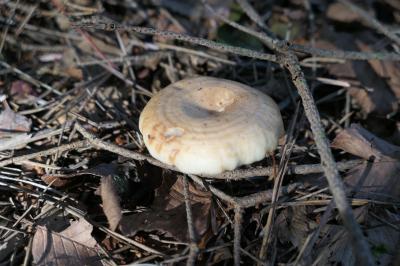 サマーバカンス軽井沢♪　Vol.50 ☆北軽井沢：浅間高原に秋の気配♪