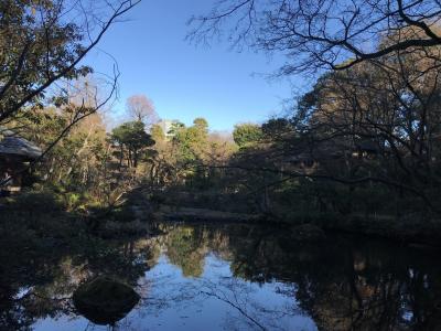 【着物】久しぶりのおひとりさま贅沢