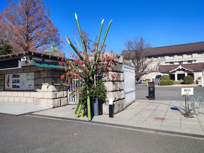 【上野・新橋】国立博物館で江戸城を見てから、ニュー新橋ビルでマッサージ