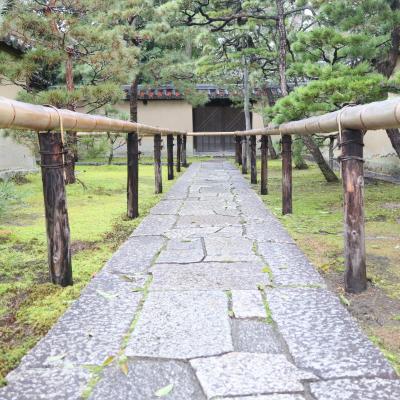 2023年12月京都⑤