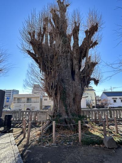 前橋八幡宮　1月9日初市まつり