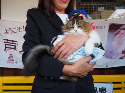 芦ノ牧温泉駅 で働く「さくら」の３代目名誉ねこ駅長就任式を見に行って来ました