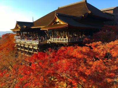 清水の舞台　炎上