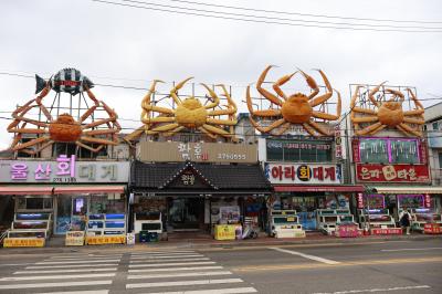 韓国　「行った所・見た所」　浦項の九龍浦に行きズワイガニを食べました