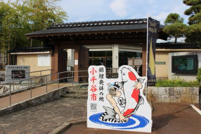 自家製ミステリーツアー♪笑【ミオンなかさと・ホテル むかでや・十日町駅・錦鯉の里・三条鍛冶道場】