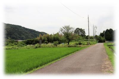 御所中明神、後醍醐なか刀自媛大神、信清神社