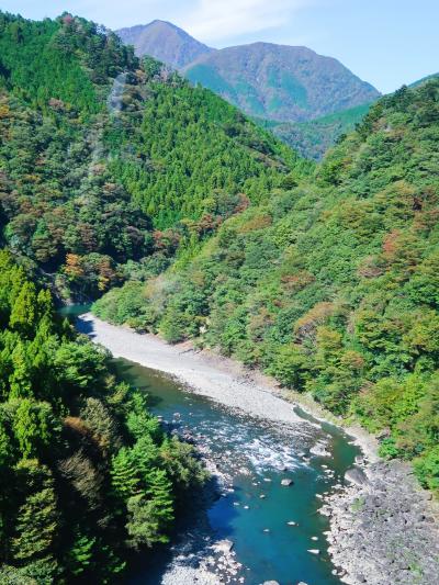 大井川-1　中川根‐茶茗館　煎茶味わい講習　昼食持参　☆千頭→奥大井へ