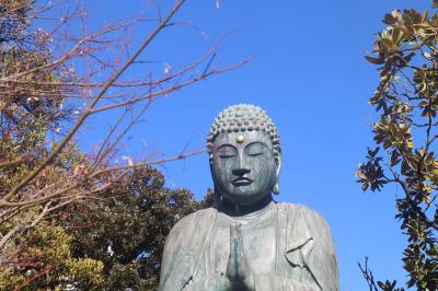 谷中七福神巡り（後半）☆天王寺～不忍池辨天堂☆谷中 菓匠 あかねね☆2024/01/09