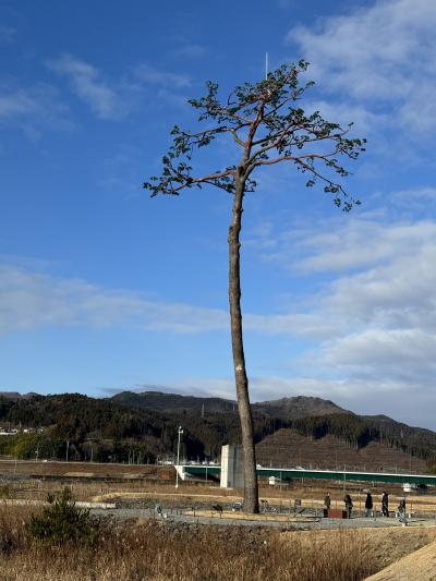 陸前高田　塩釜　松島　3日目