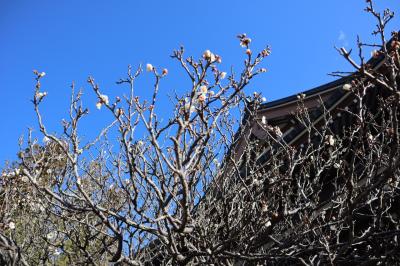 旅する気分で鎌倉散歩☆彡良いカフェ＊良い時間　