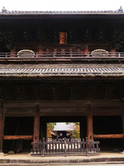 岡崎-1　大樹寺　家康公-再起の場　☆徳川家の菩提寺・歴代将軍の位牌-安置