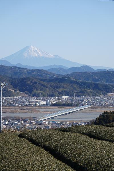 さわやかウォーキング【金谷の魅力満載コース】ＪＲ東海