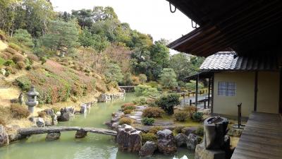 京都の寺社と庭園を訪ねる、シリーズ５（三十三間堂と智積院）