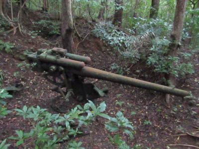 小笠原旅行記 母島編