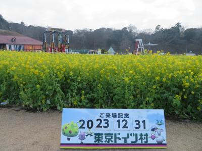 大晦日に千葉の東京ドイツ村