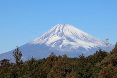 2024初入湯は伊豆長岡温泉③　三島スカイウォーク・三嶋大社、そしてうな重！