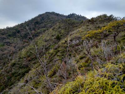 大崎上島の神峰山(かんのみねやま)