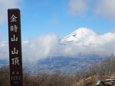 2024 足柄峠から金時山