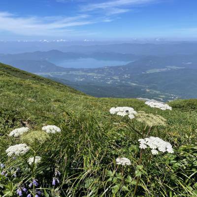 東北・花の山旅