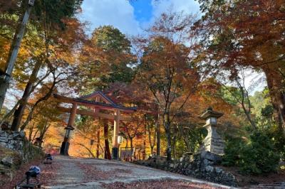 京都と滋賀で紅葉狩り2023～圓光寺・詩仙堂・金福寺・西教寺・旧竹林院・日吉大社・梨木神社編～