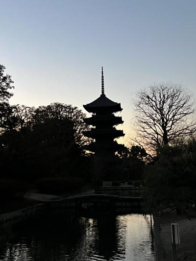 京都のホテルに泊まってみた17 (OMO3 京都東寺)