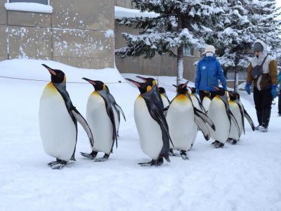 旭川SnowTrip1【カムイ・旭岳】