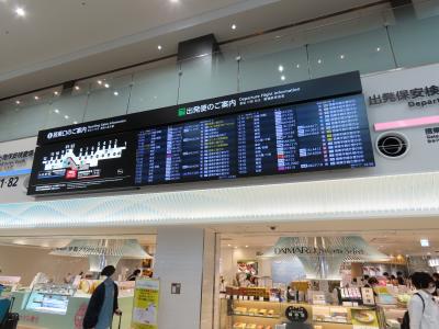 福岡 福岡空港(Fukuoka Airport,Fukuoka,Japan)