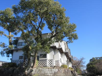 佐賀県が好き!