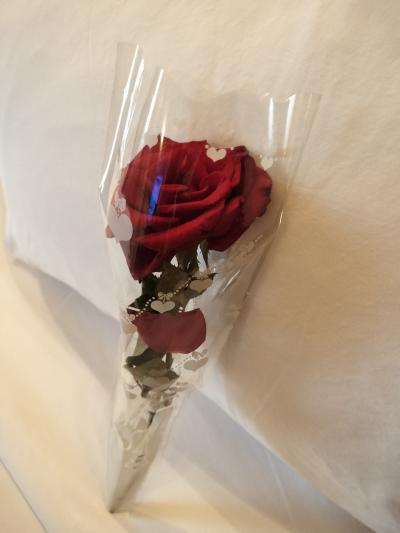 エジプト個人旅行NO29(アレキサンドリアのホテル)