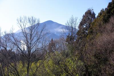 新春の秩父・長瀞ひとり旅(後半)~新木鉱泉旅館に宿泊、そして札所巡り