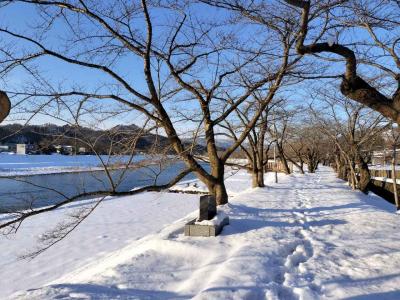 【東北3県を周る週末】 角館武家屋敷散策、途中にあるお店に立ち寄りニャン生に触れる 【中編】