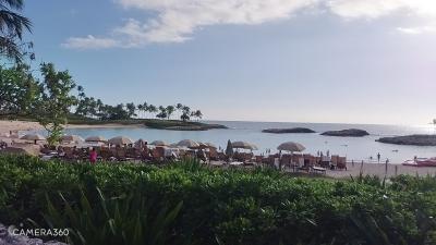 2023～2024年末年始をハワイでアウラニで！②』オアフ島(ハワイ