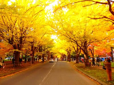 どこかにマイルで紅葉を見に1ケ月ぶりの北海道　３日目は札幌の紅葉