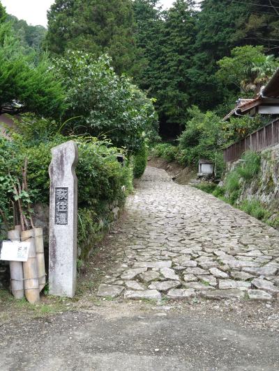 山口県の旅その3　山口市①